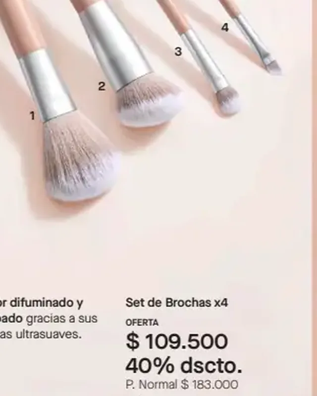 Set de Brochas x4